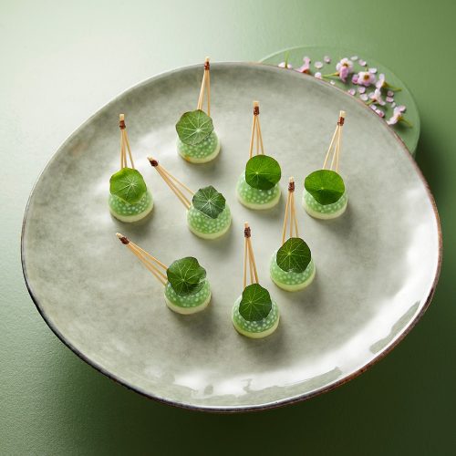 assiette de tapioca réalisé par le meilleur traiteur éco-responsable paris